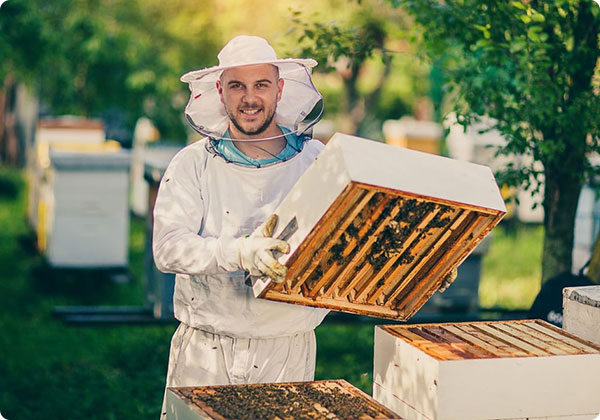 Video: Eerste inspectie